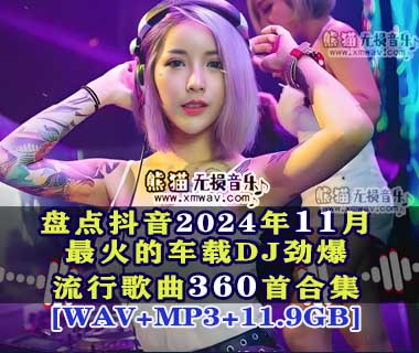 【歌单推荐】盘点2024年11月抖音最火的车载DJ劲爆流行歌曲360首合集[